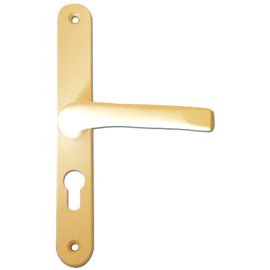 ASEC 117 Lever/Lever UPVC Furniture - 270mm Backplate Gold - Click Image to Close