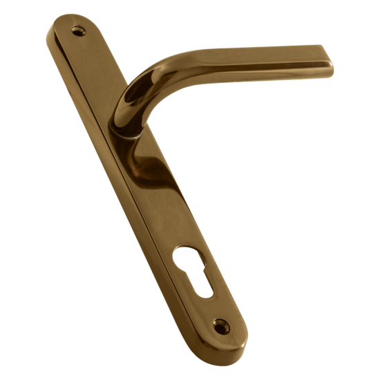 ASEC 85 Lever/Lever UPVC Furniture - 242mm Backplate Gold - Click Image to Close