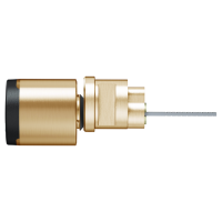 EVVA AirKey Rim Proximity Cylinder Polished Brass