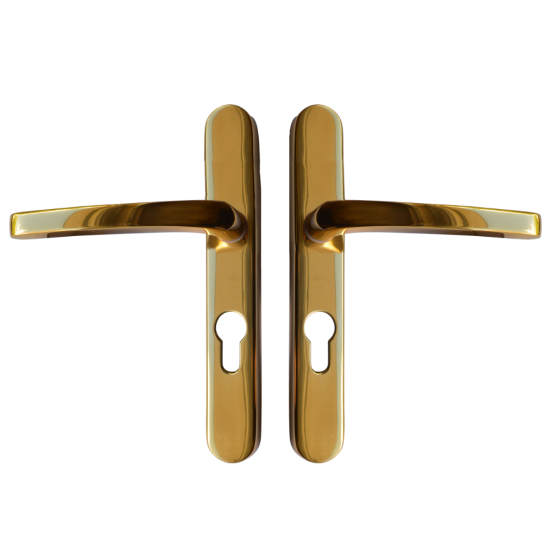 ASEC Vital Lever Long Backplate 211mm Polished Gold 211mm Centres - Click Image to Close