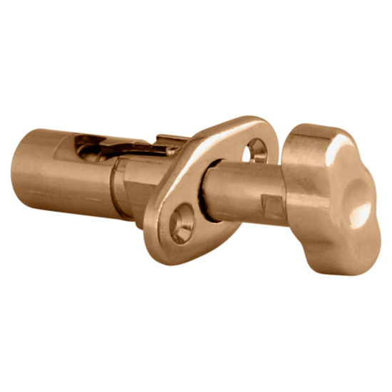 WINLOCK Patio Spring Bolt - 24mm Throw Polished Brass - Click Image to Close