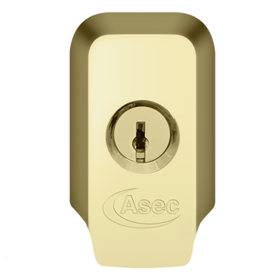 ASEC High Security Rim Cylinder Pull With Cylinder Polished Brass - Click Image to Close
