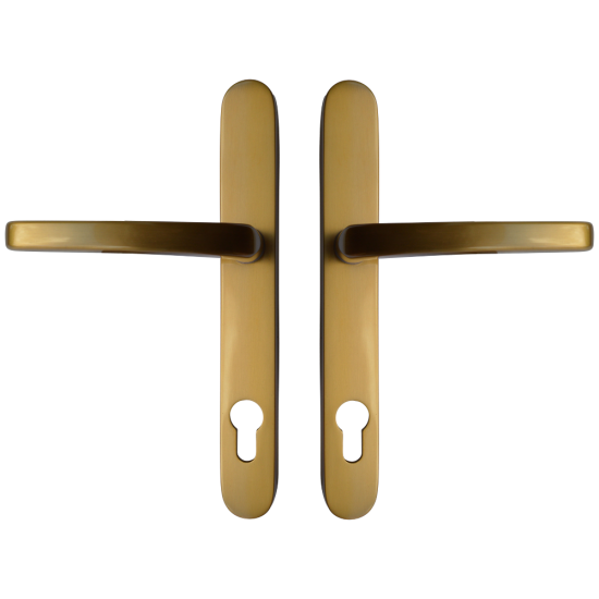 ASEC Vital Lever Long Backplate 211mm Brushed Gold 211mm Centres - Click Image to Close