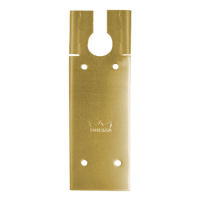 DORMAKABA Cover Plate To Suit BTS80 Satin Brass