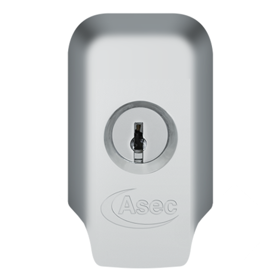 ASEC High Security Rim Cylinder Pull With Cylinder Satin Chrome - Click Image to Close
