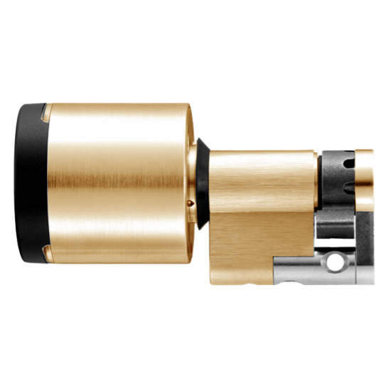 EVVA AirKey Euro Half Proximity Cylinder Sizes 31mm to 92mm Polished Brass - Click Image to Close