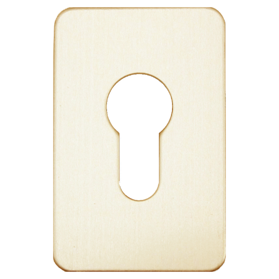 ASEC Self Adhesive 45mm x 70mm Euro Escutcheon Gold Anodised - Click Image to Close