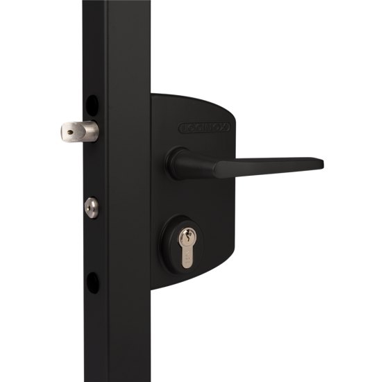 LOCINOX Surface Mounted Gate Lock LAPQ10 U2 Black (10mm - 30mm) - Click Image to Close