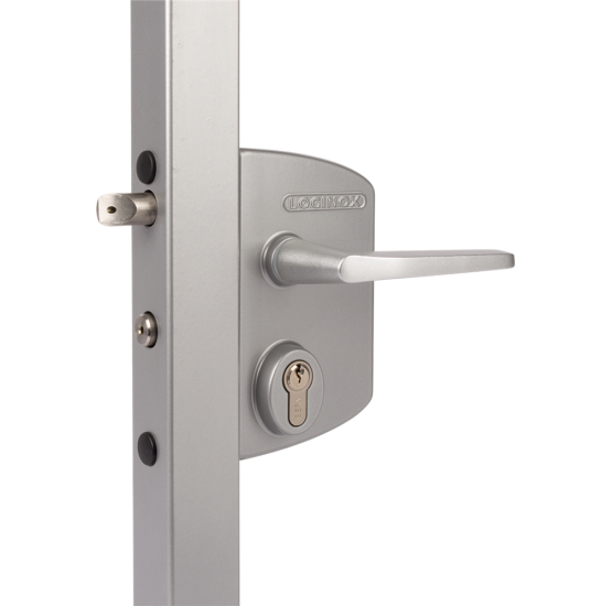 LOCINOX Surface Mounted Gate Lock LAPQ10 U2 Silver (10mm - 30mm) - Click Image to Close