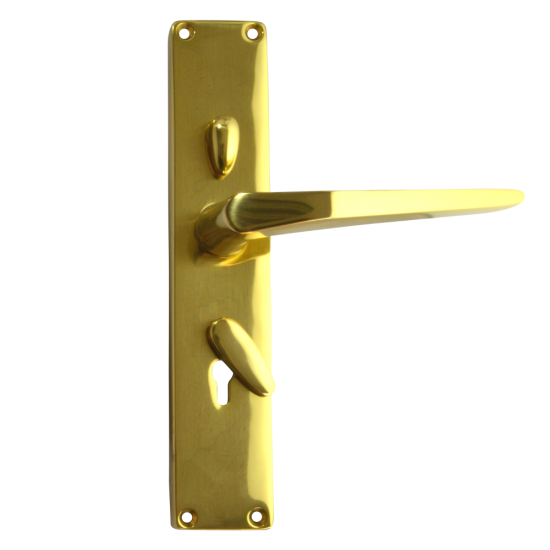 FRANK ALLART 1218 & 1220 Handle Door Furniture To Suit Chubb 3R35 PB Large Handle - Click Image to Close